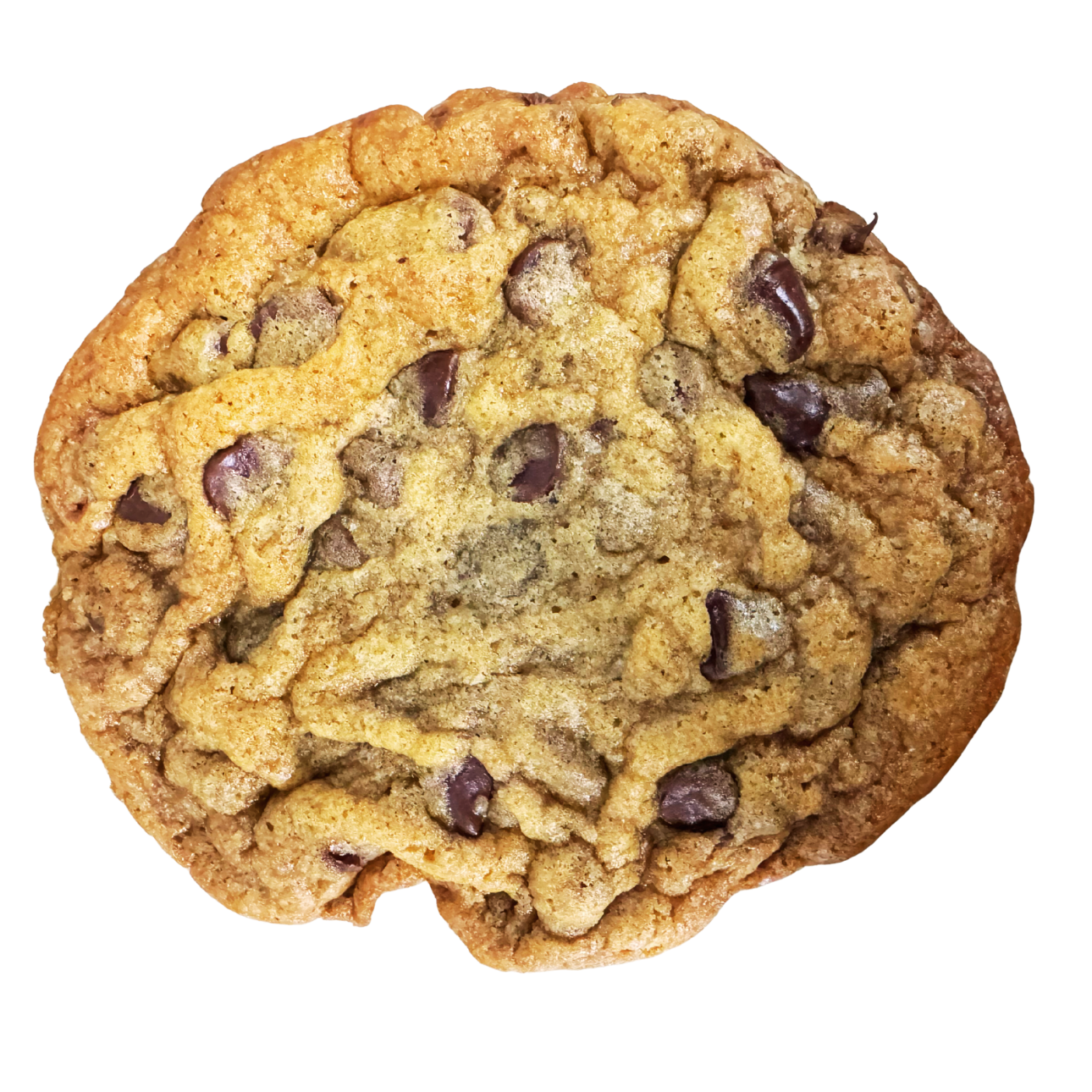 Loaded Biggie Chocolate Chip Cookies
