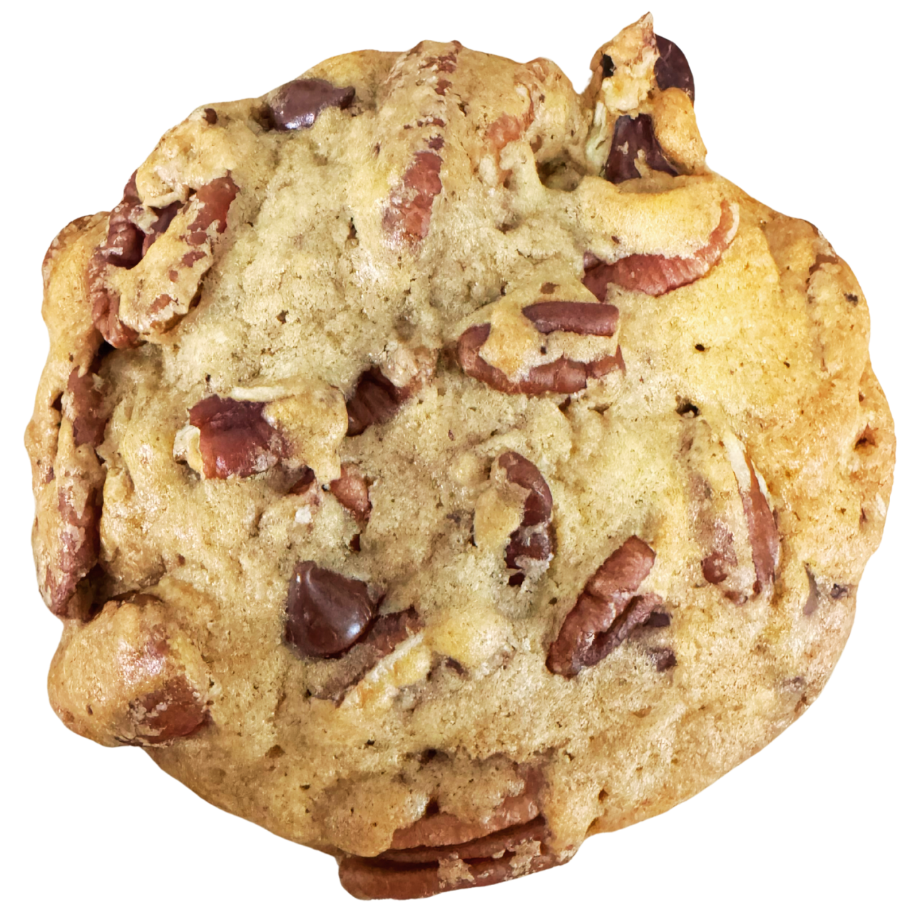 Loaded Biggie Chocolate Chip & Pecan Cookies